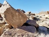 Anthropmorphic with Spread Limbs