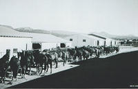 Camp Lockett Stables