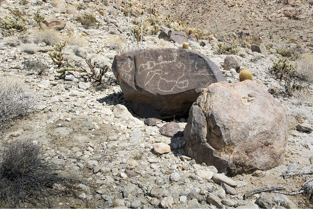 Possible Pelican Petroglyphs